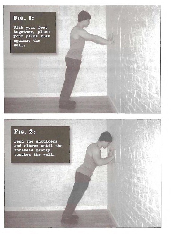 And anyone in prison or going to prison and needs the wall variation of pushups, sorry there is no helping you in prison in or in any environment!